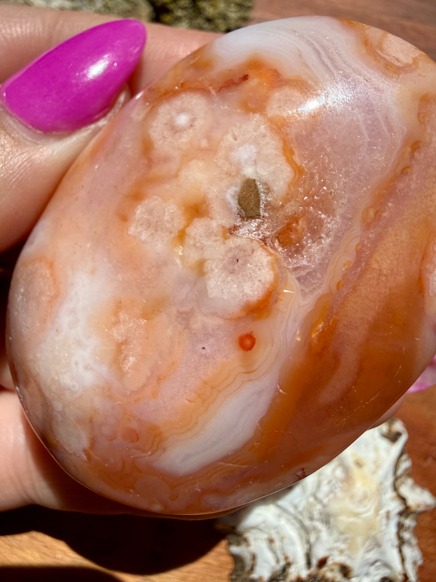 CARNELIAN FLOWER AGATE PALM STONE