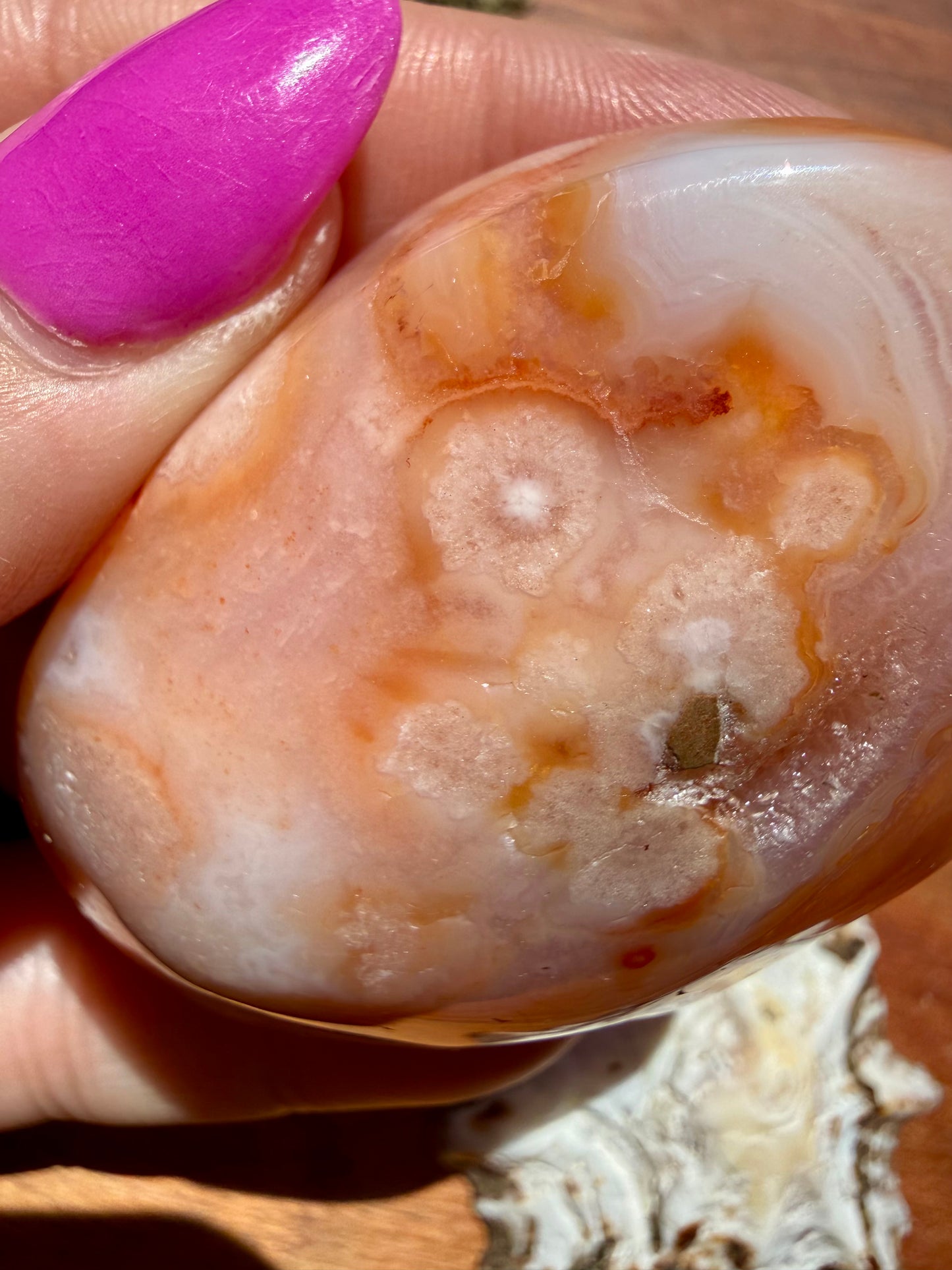 CARNELIAN FLOWER AGATE PALM STONE