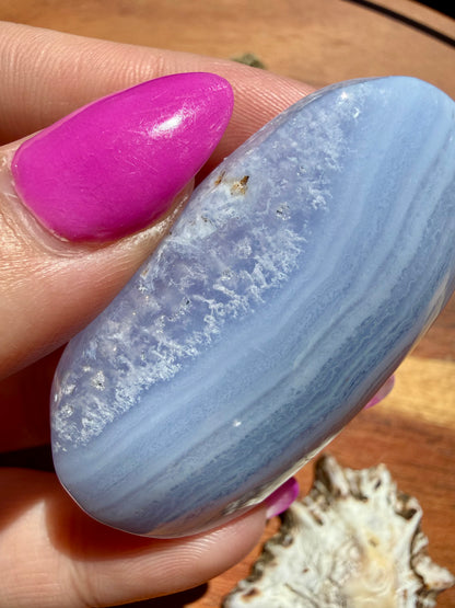BLUE LACE AGATE PALM STONE