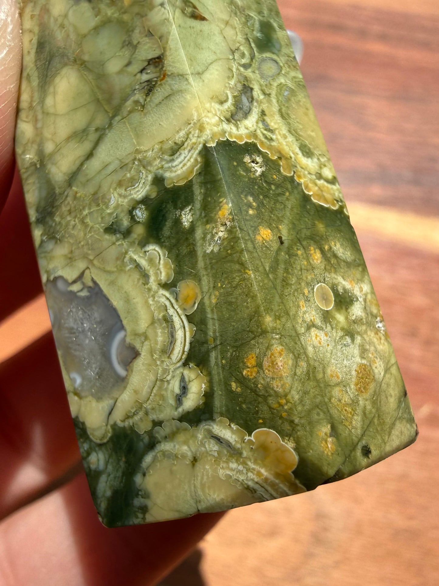RAINFOREST JASPER TOWER