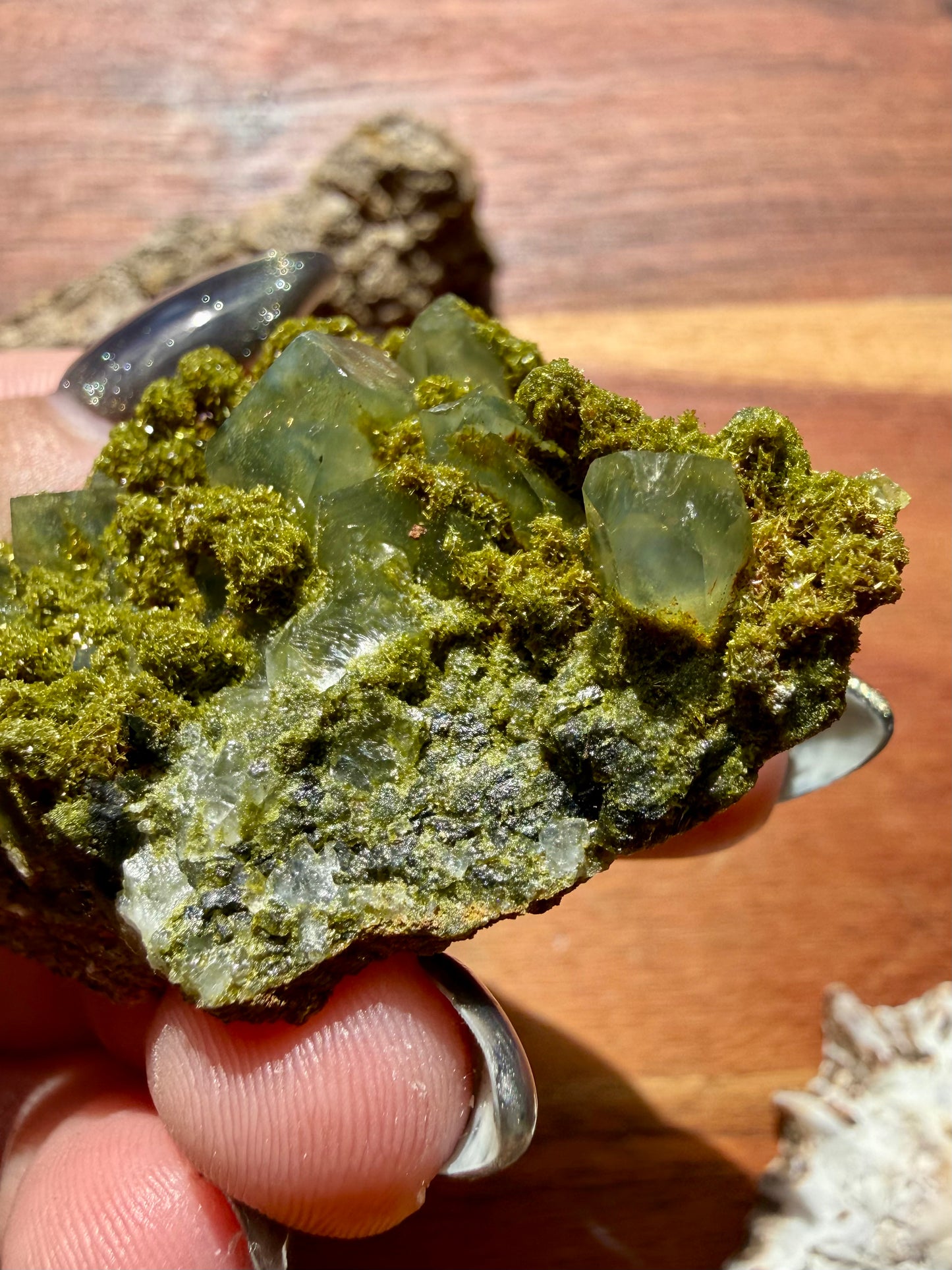 HIGH QUALITY EPIDOTE & QUARTZ