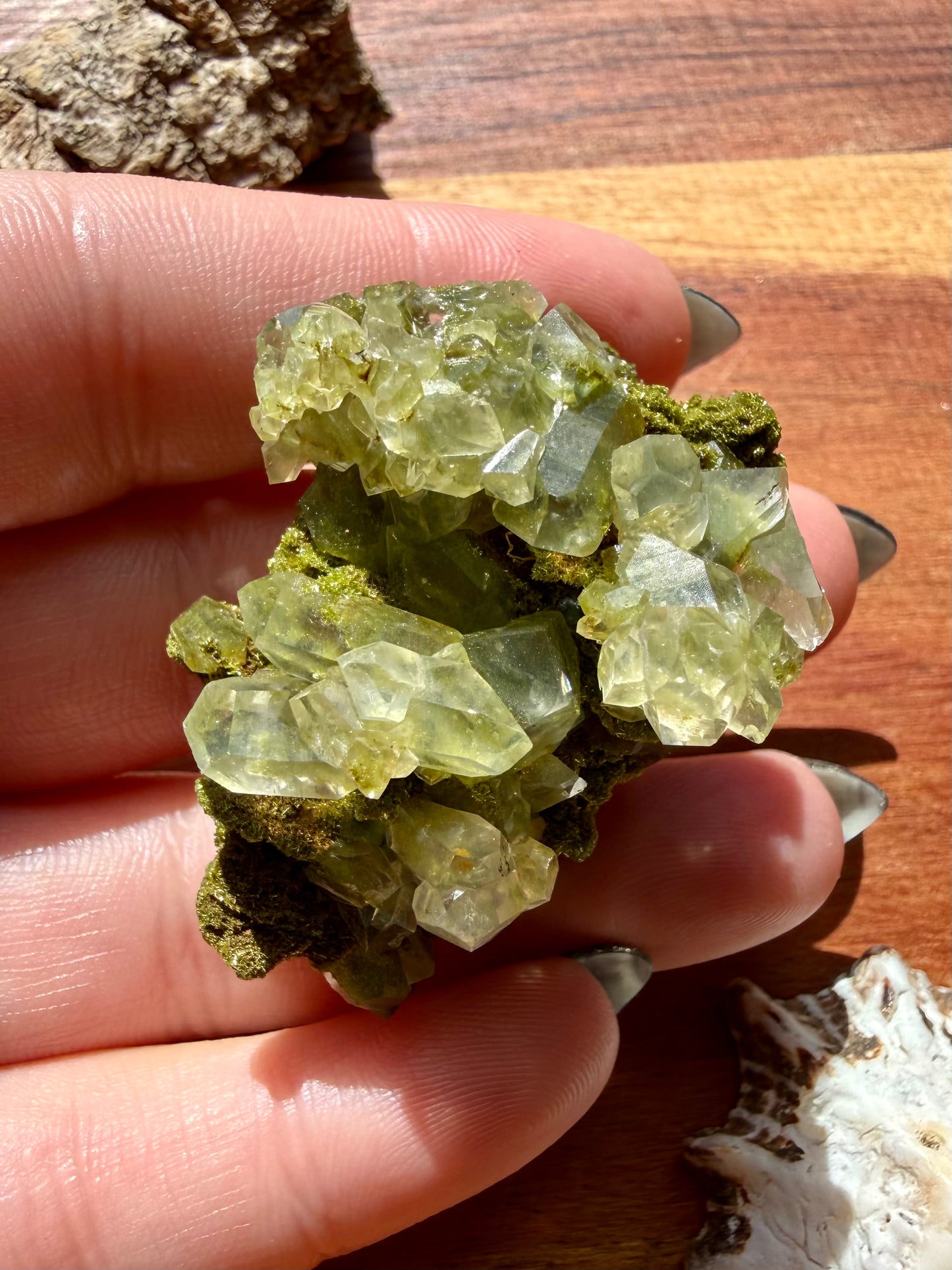 HIGH QUALITY EPIDOTE & QUARTZ