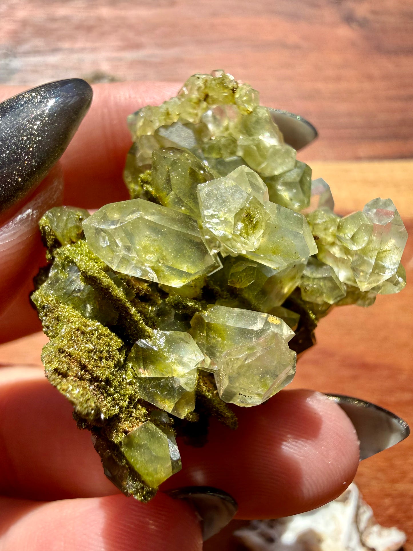 HIGH QUALITY EPIDOTE & QUARTZ