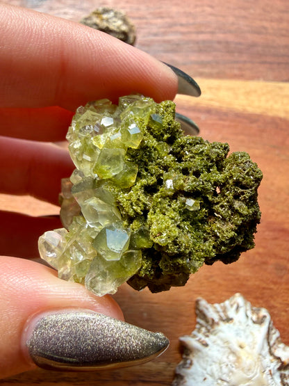 HIGH QUALITY EPIDOTE & QUARTZ