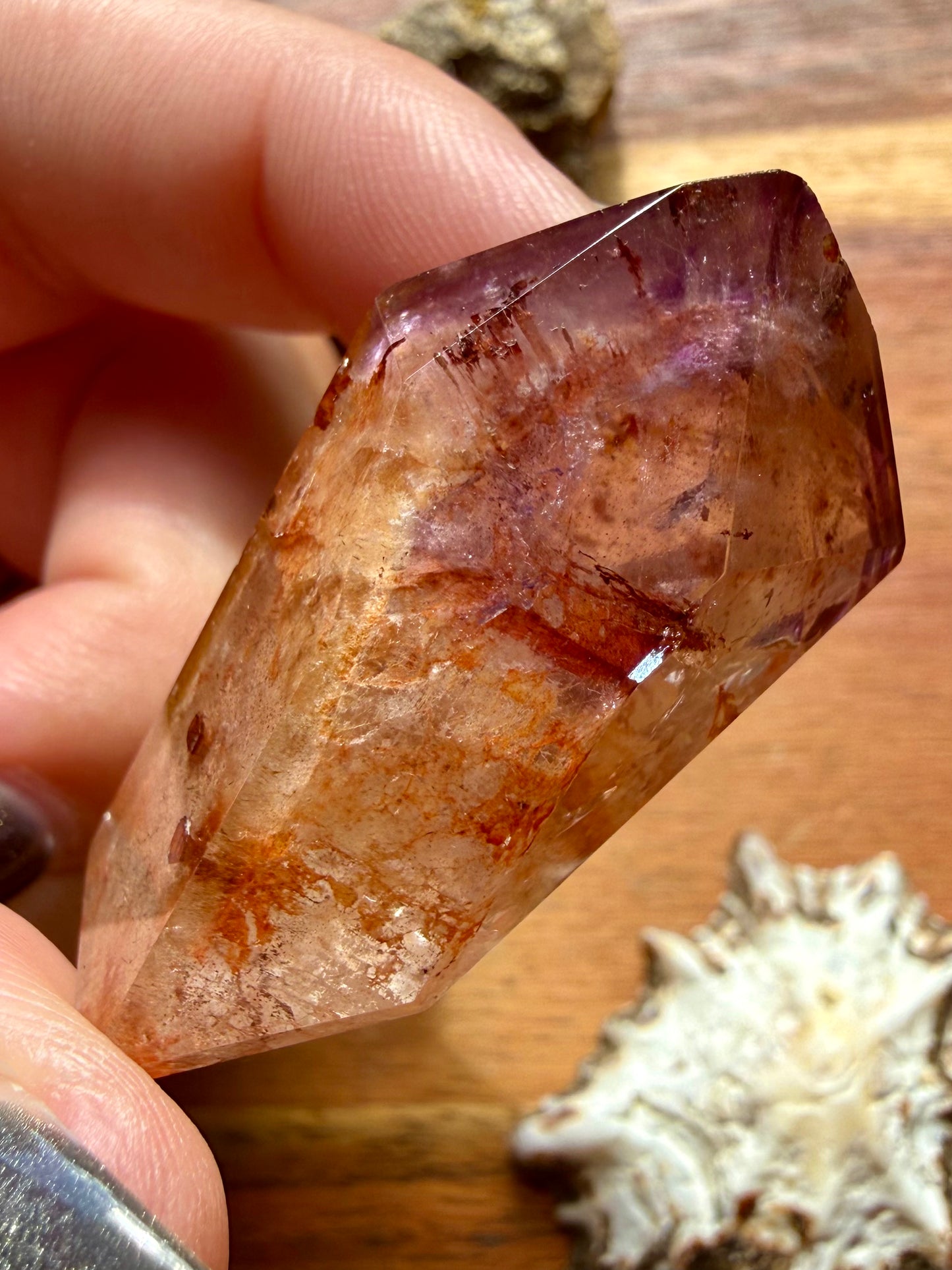 DREAMCOAT LEMURIAN QUARTZ POINT