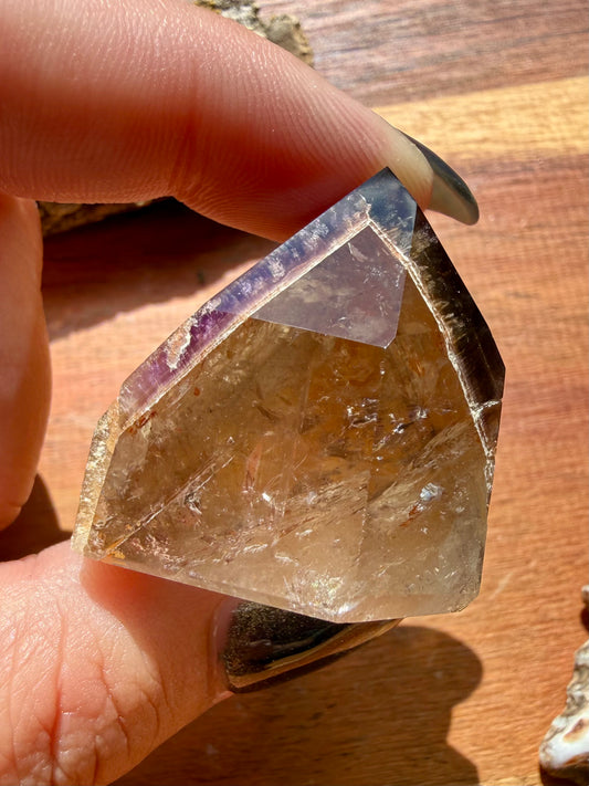 DREAMCOAT LEMURIAN QUARTZ POINT