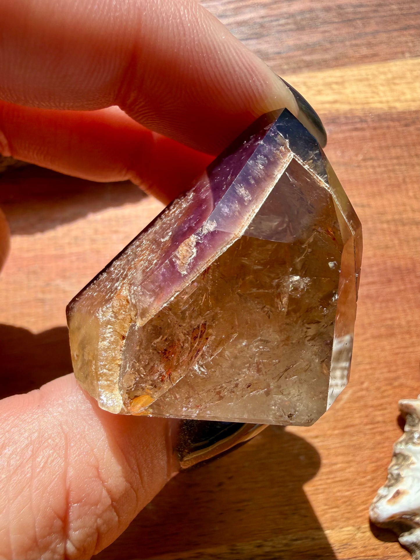 DREAMCOAT LEMURIAN QUARTZ POINT