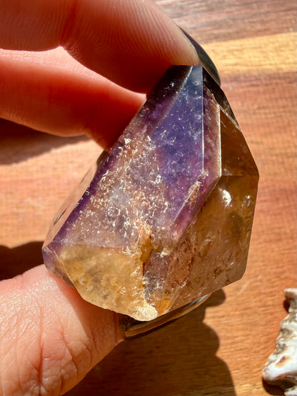 DREAMCOAT LEMURIAN QUARTZ POINT