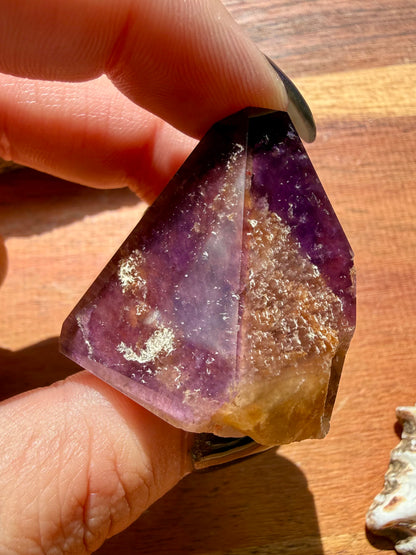 DREAMCOAT LEMURIAN QUARTZ POINT