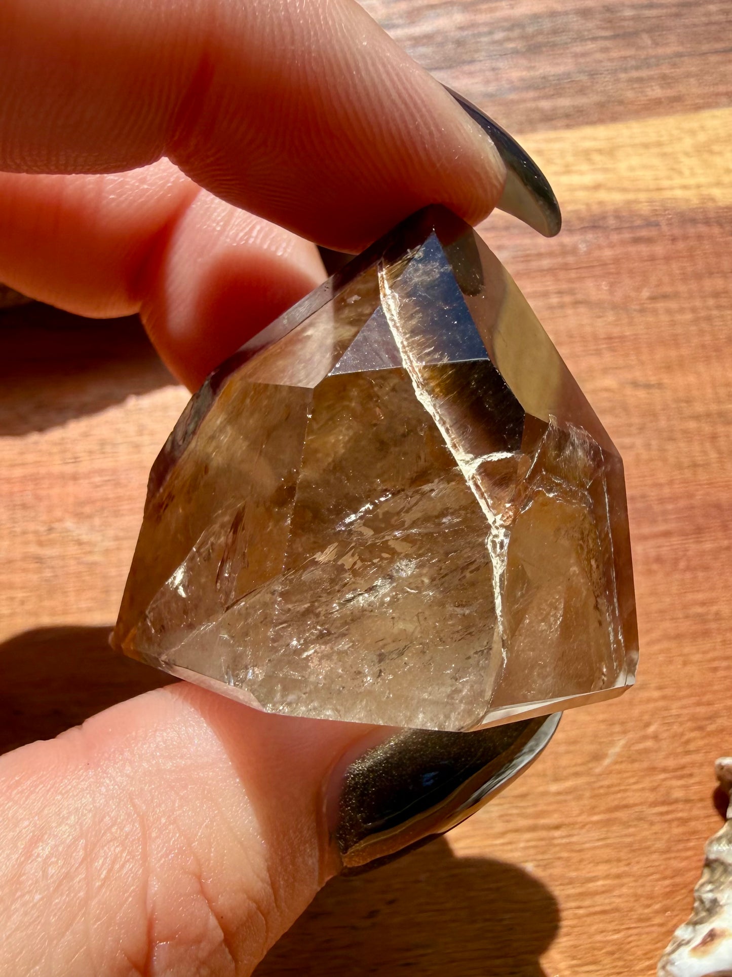 DREAMCOAT LEMURIAN QUARTZ POINT