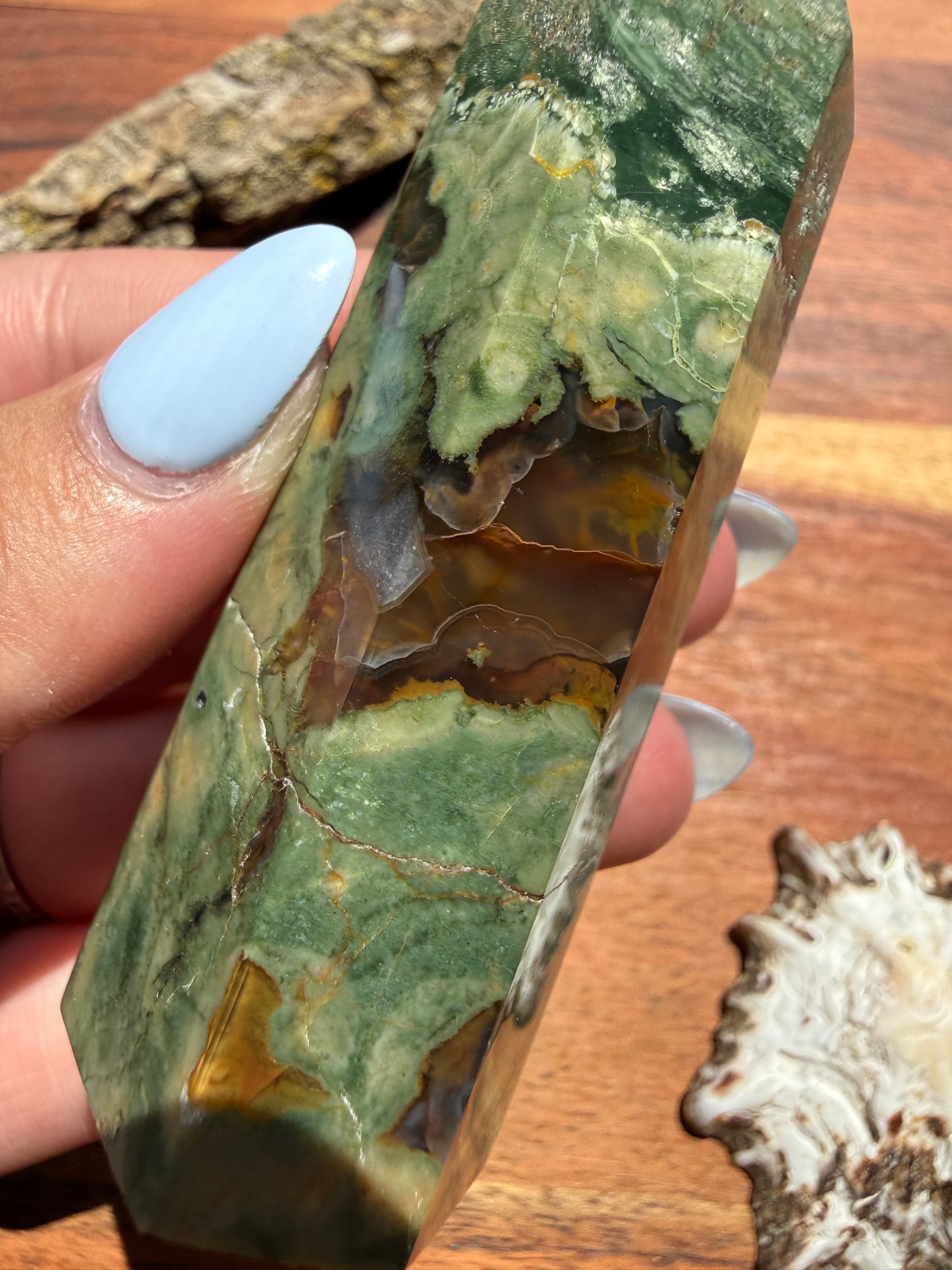 RAINFOREST JASPER TOWER