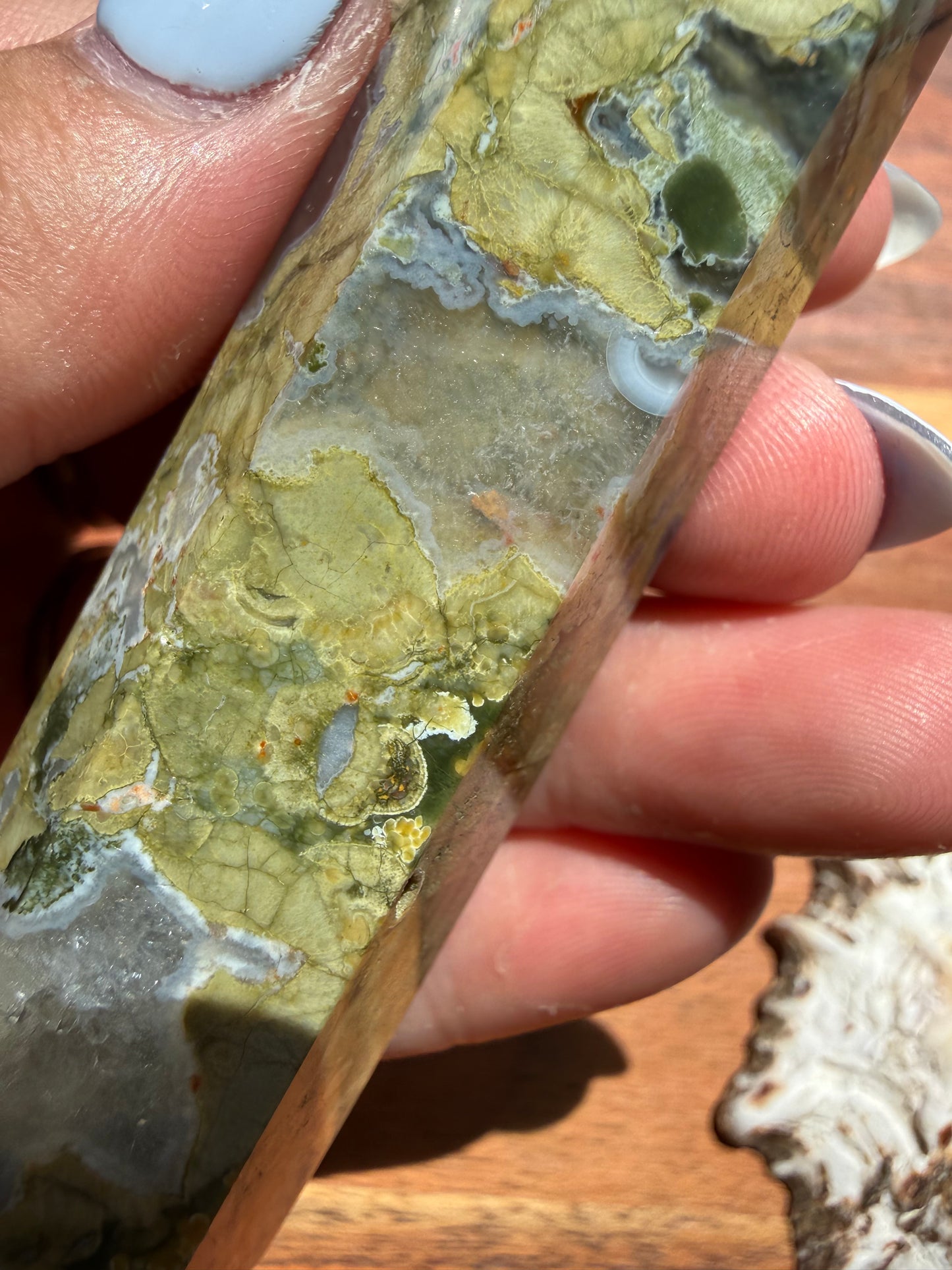RAINFOREST JASPER TOWER