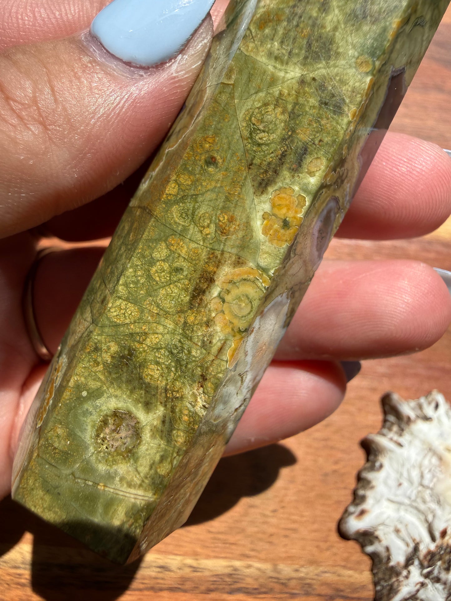 RAINFOREST JASPER TOWER