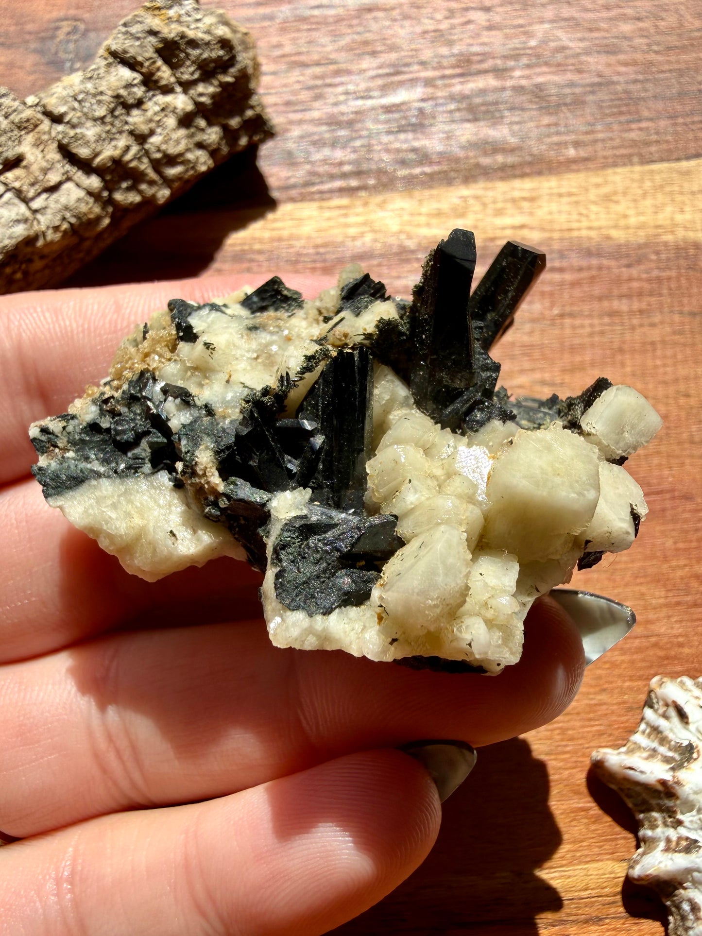 MOUNT MALOSA AEGIRINE ON FELDSPAR SPECIMEN