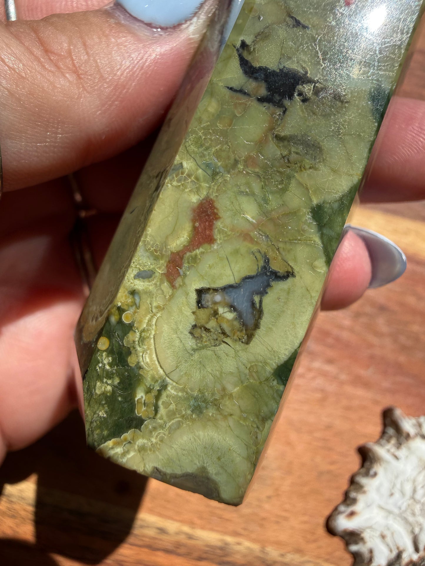 RAINFOREST JASPER TOWER