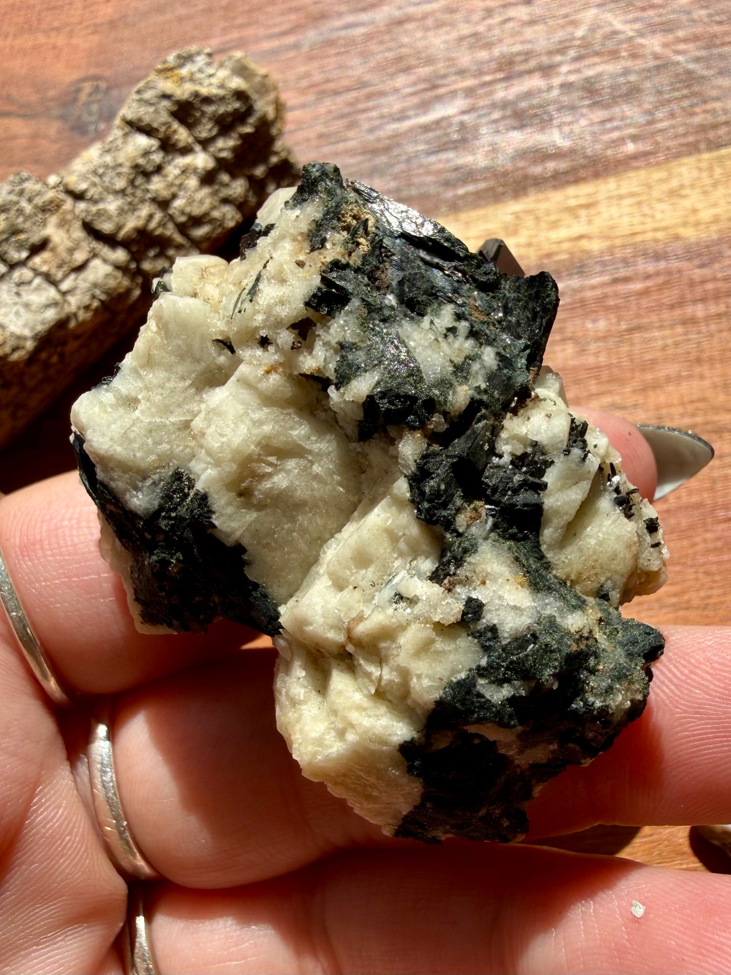 MOUNT MALOSA AEGIRINE ON FELDSPAR SPECIMEN