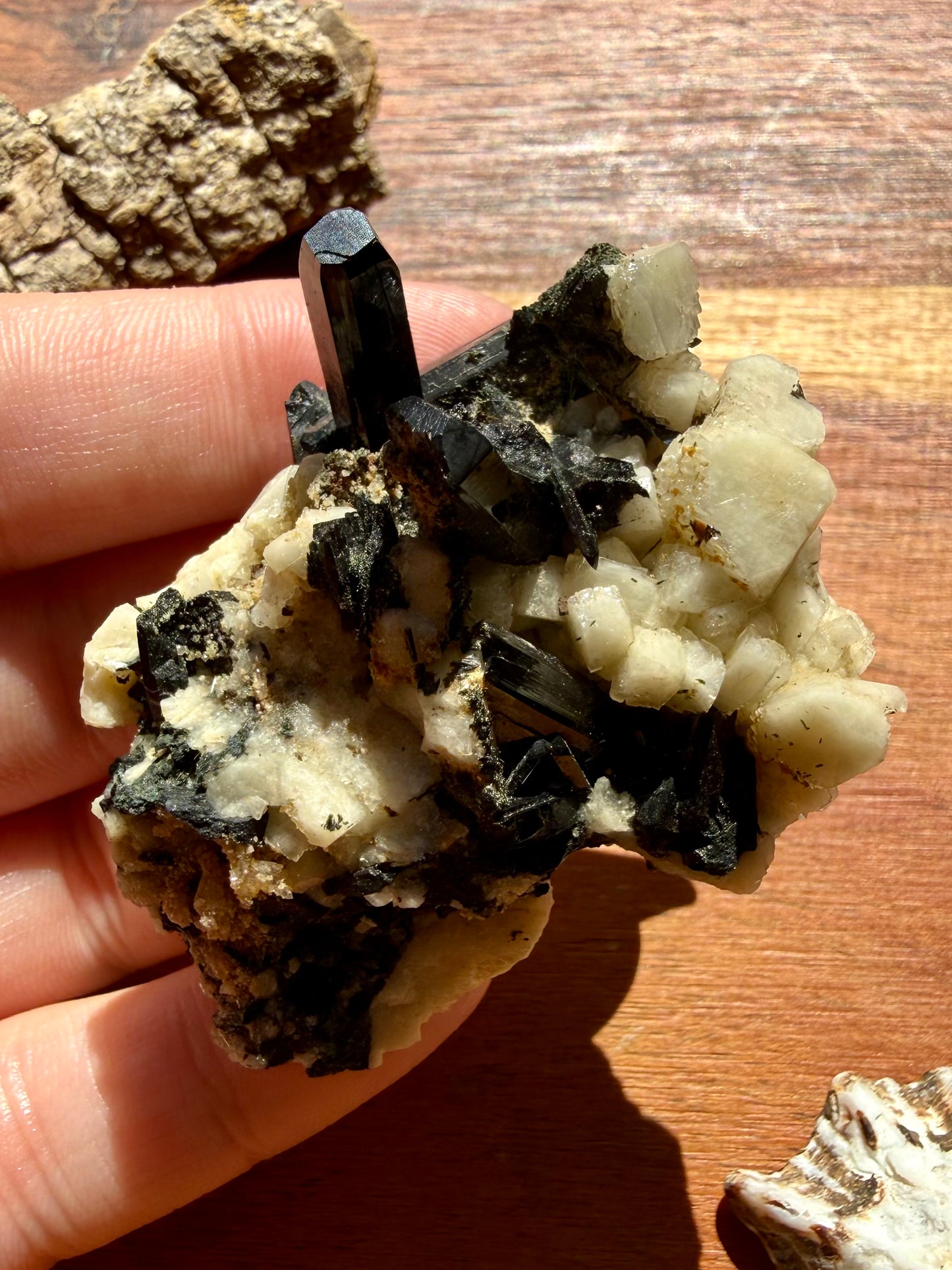 MOUNT MALOSA AEGIRINE ON FELDSPAR SPECIMEN