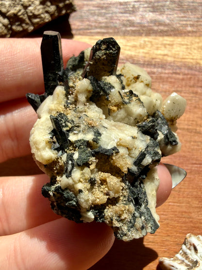 MOUNT MALOSA AEGIRINE ON FELDSPAR SPECIMEN