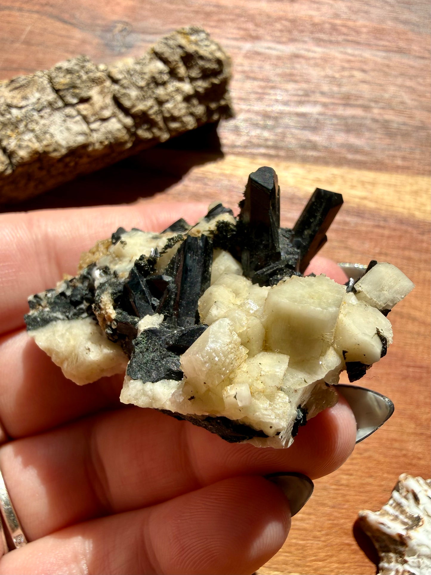 MOUNT MALOSA AEGIRINE ON FELDSPAR SPECIMEN