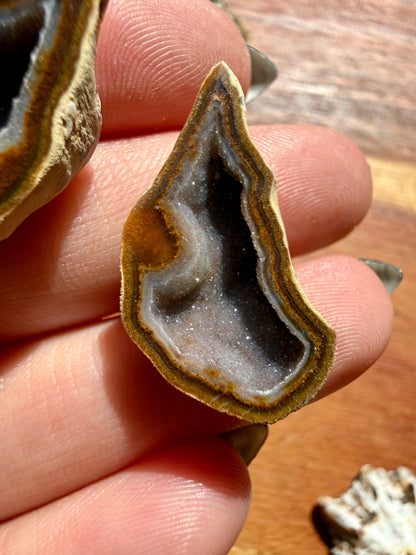 TOBASCO AGATE GEODE PAIR