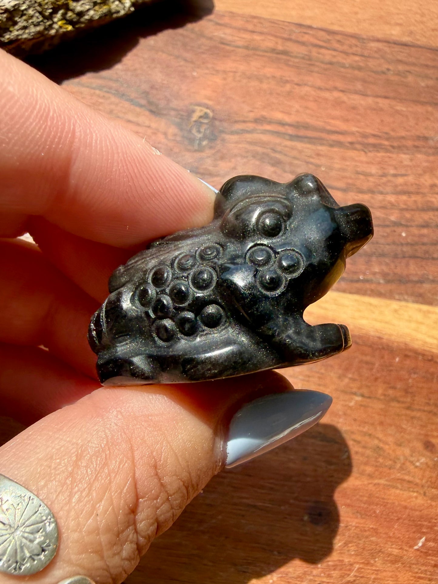 SILVER SHEEN OBSIDIAN MONEY TOAD