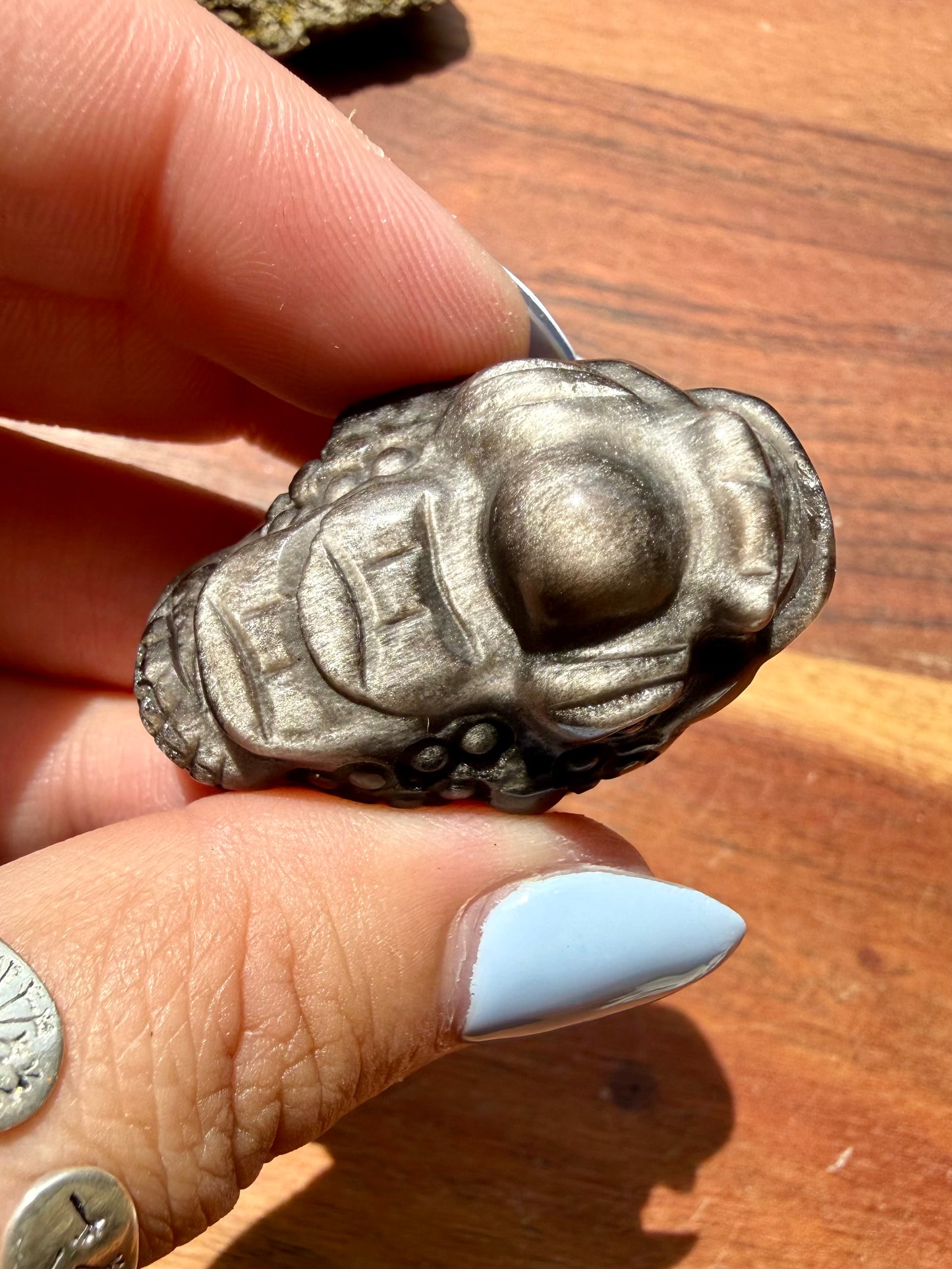 SILVER SHEEN OBSIDIAN MONEY TOAD