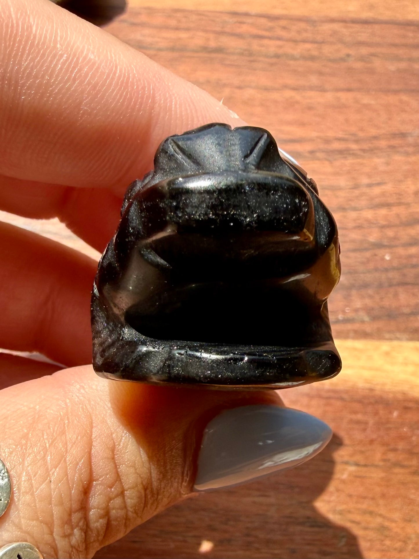 SILVER SHEEN OBSIDIAN MONEY TOAD
