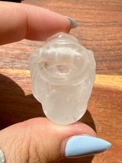 CLEAR QUARTZ MONEY TOAD