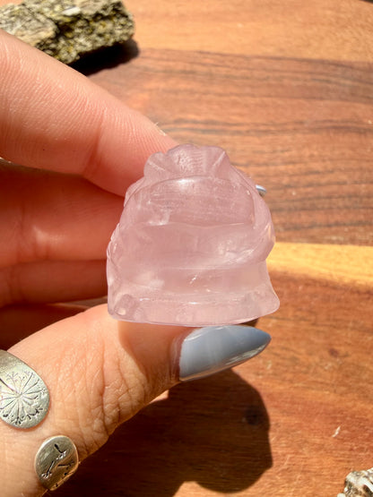 ROSE QUARTZ MONEY TOAD