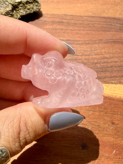 ROSE QUARTZ MONEY TOAD