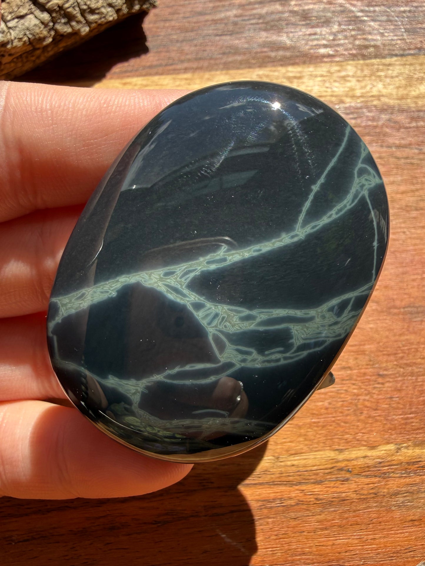 SPIDERWEB OBSIDIAN PALM STONE