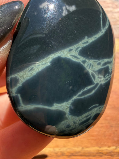 SPIDERWEB OBSIDIAN PALM STONE
