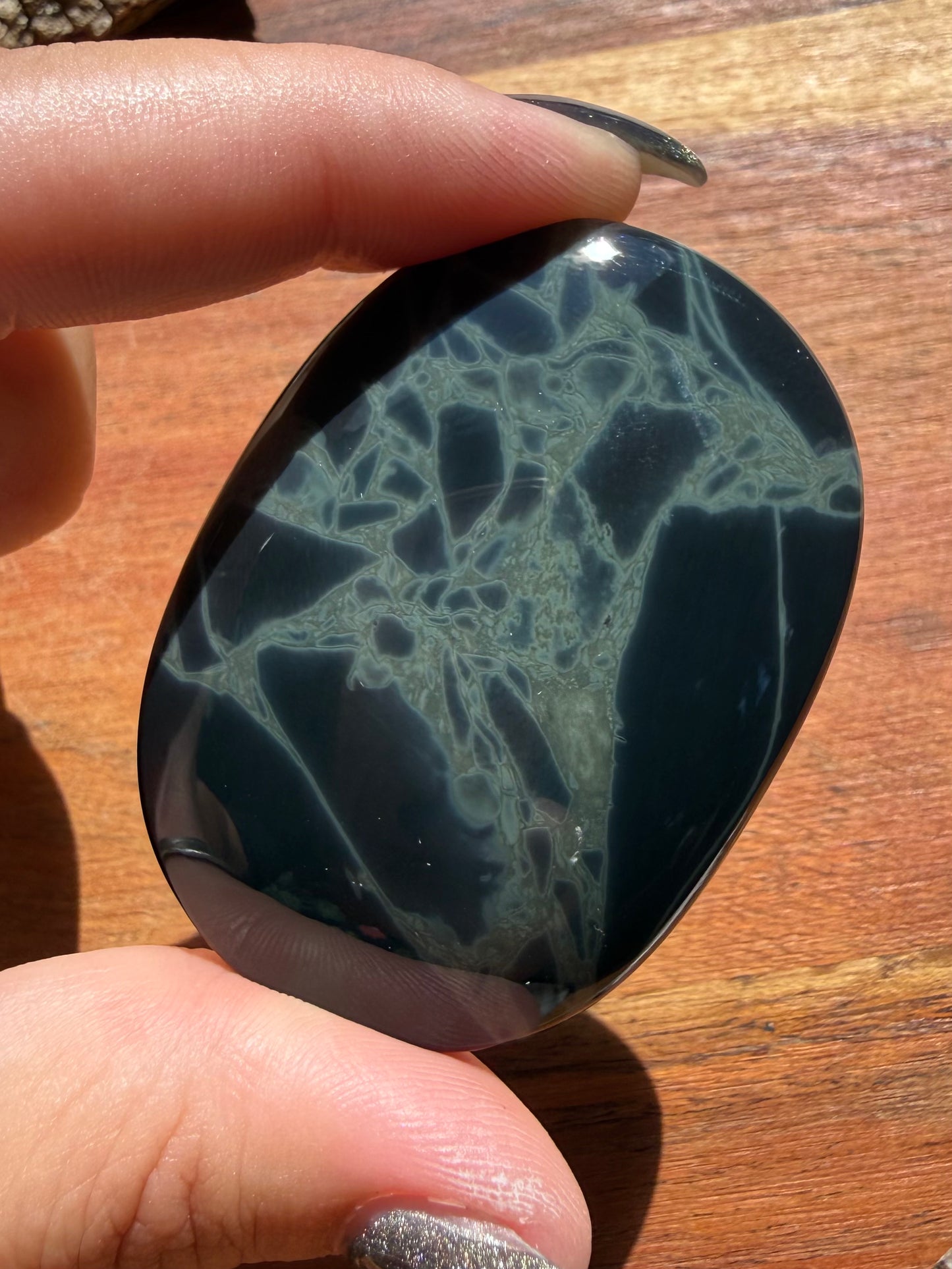 SPIDERWEB OBSIDIAN PALM STONE