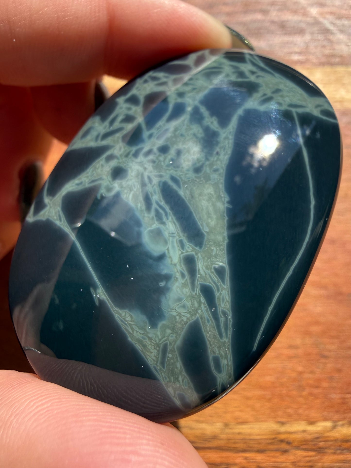 SPIDERWEB OBSIDIAN PALM STONE