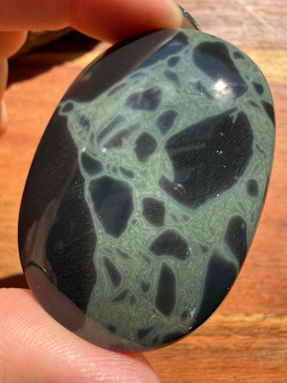 SPIDERWEB OBSIDIAN PALM STONE
