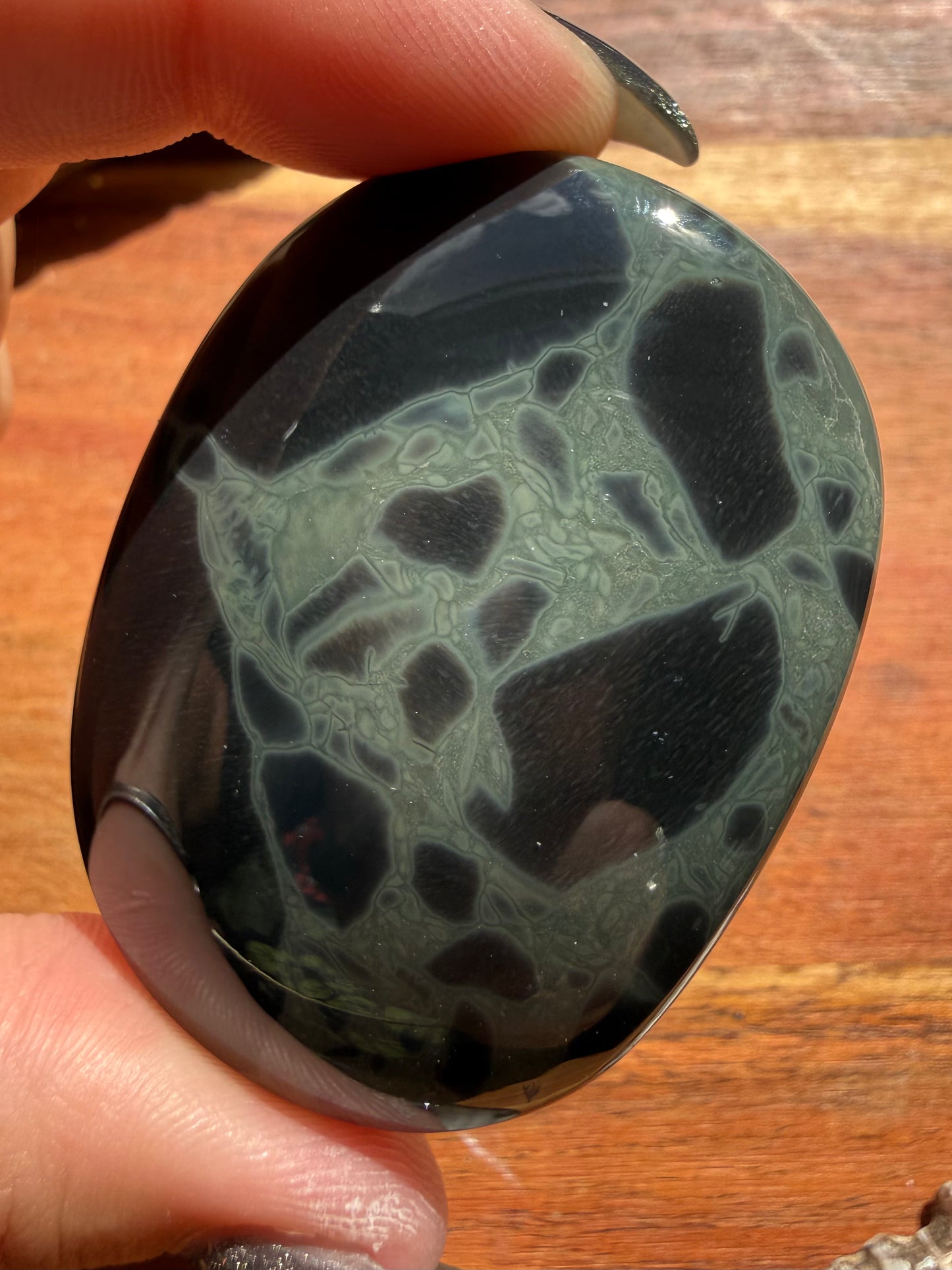 SPIDERWEB OBSIDIAN PALM STONE