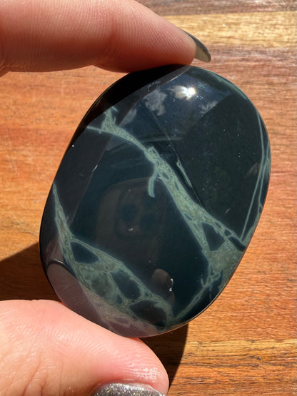 SPIDERWEB OBSIDIAN PALM STONE
