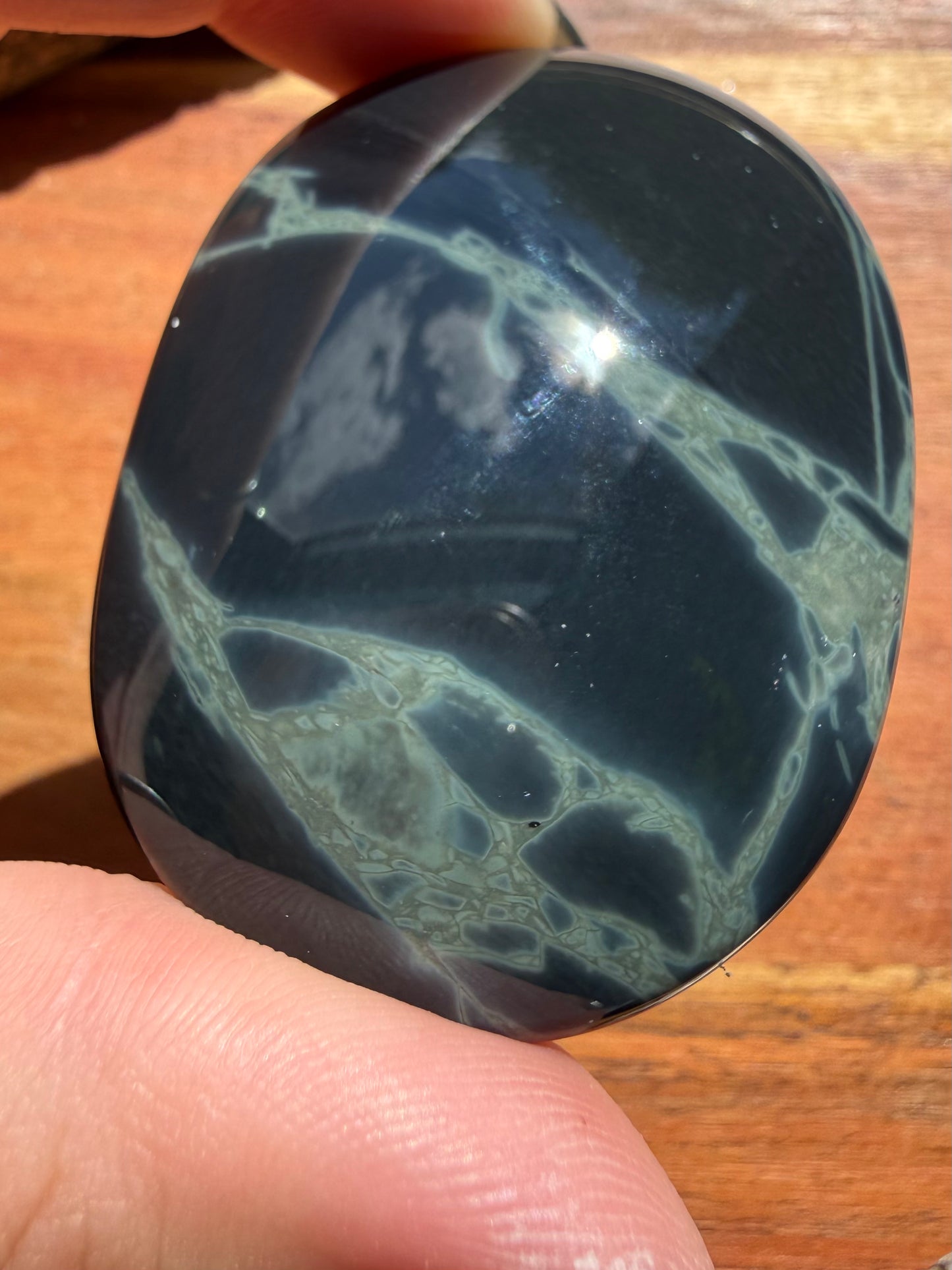 SPIDERWEB OBSIDIAN PALM STONE