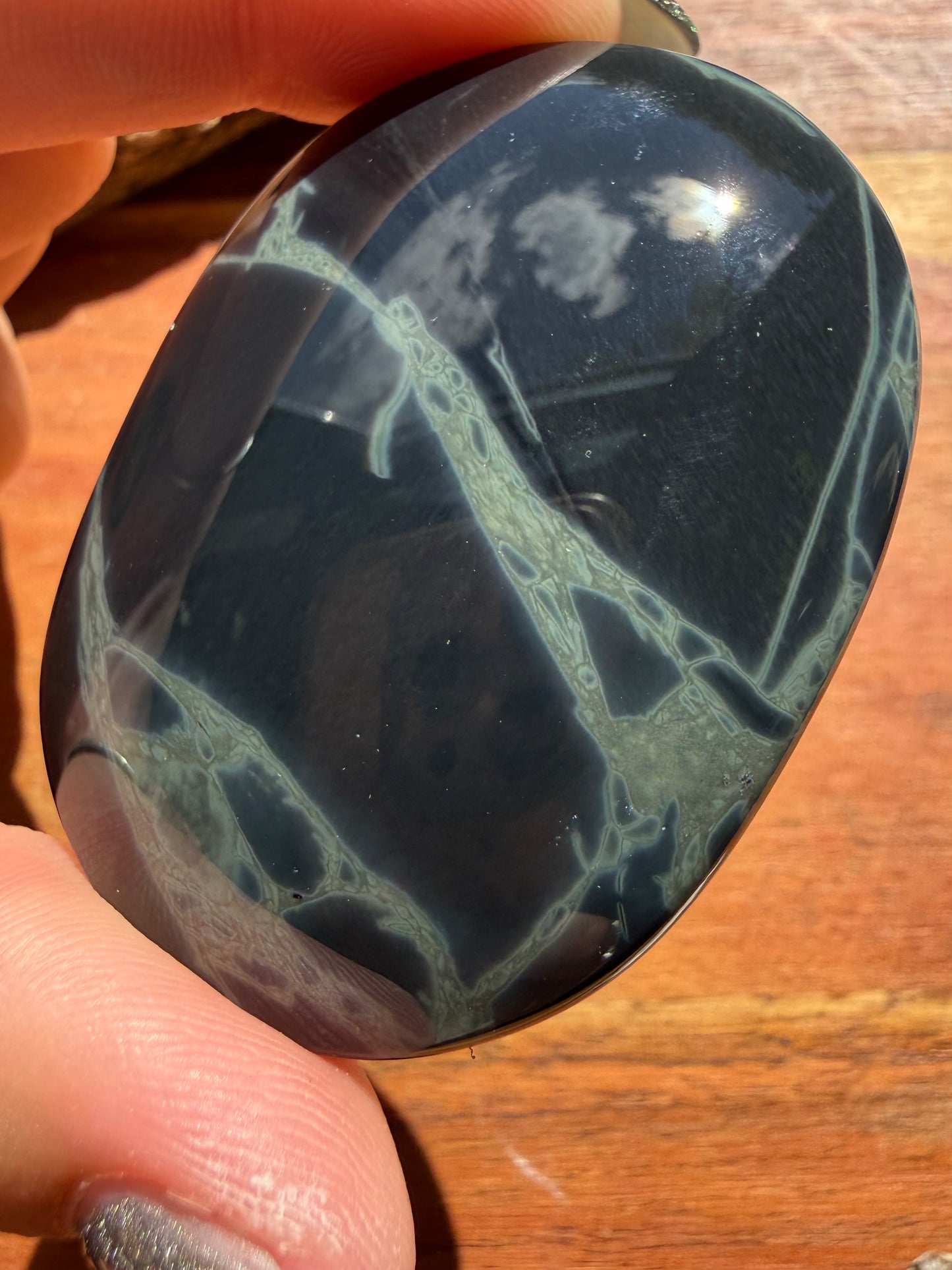 SPIDERWEB OBSIDIAN PALM STONE
