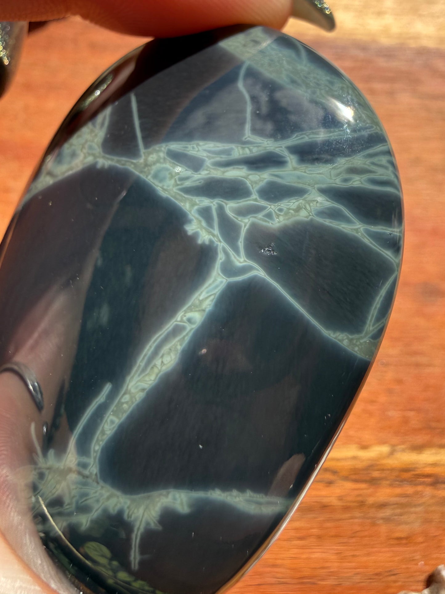 SPIDERWEB OBSIDIAN PALM STONE