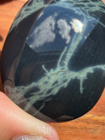 SPIDERWEB OBSIDIAN PALM STONE