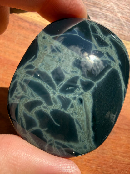 SPIDERWEB OBSIDIAN PALM STONE