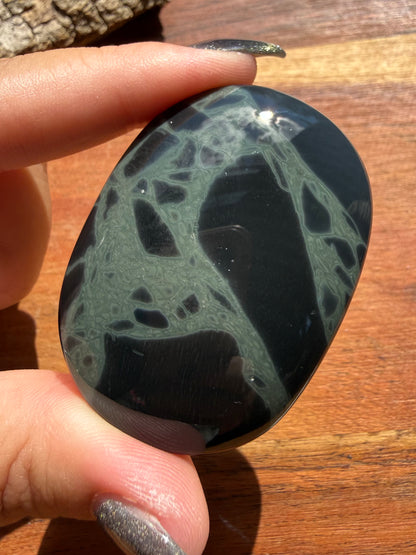 SPIDERWEB OBSIDIAN PALM STONE