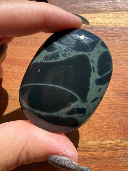 SPIDERWEB OBSIDIAN PALM STONE