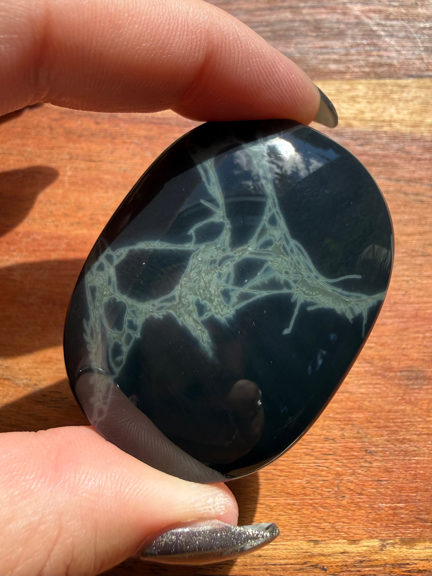 SPIDERWEB OBSIDIAN PALM STONE