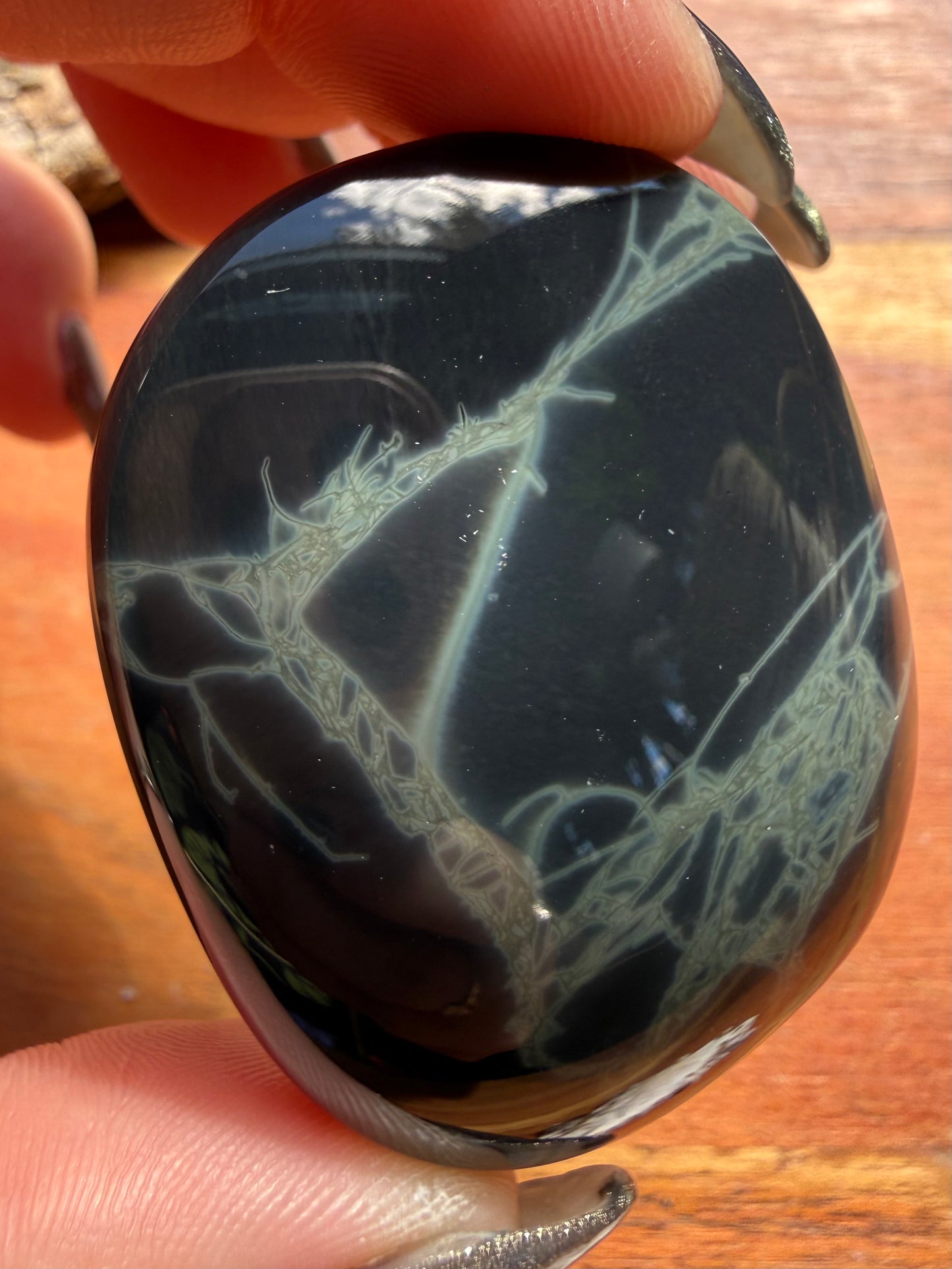 SPIDERWEB OBSIDIAN PALM STONE