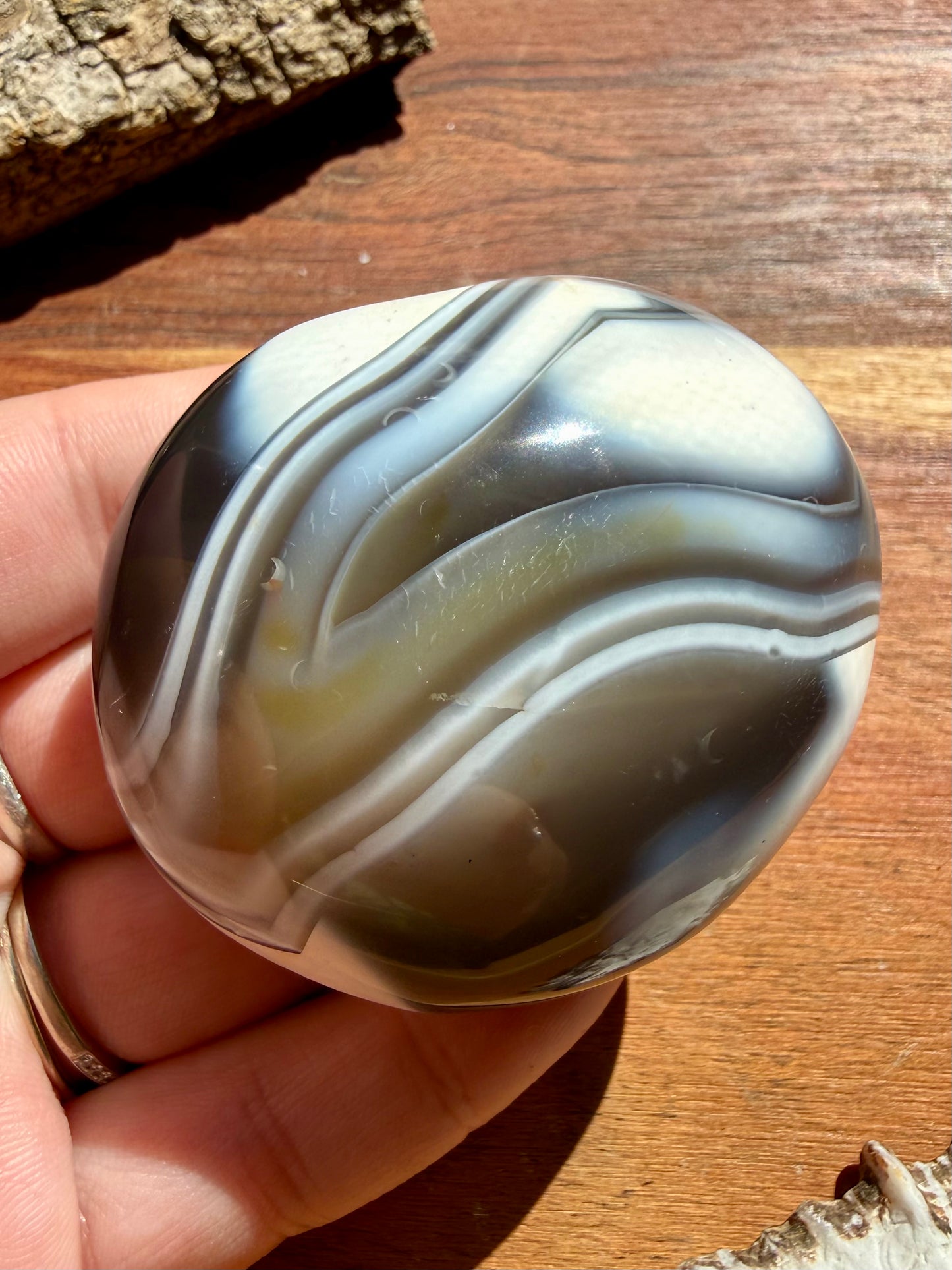ORCA AGATE PALM STONE