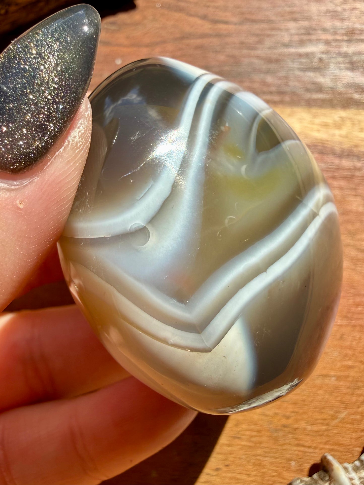 ORCA AGATE PALM STONE