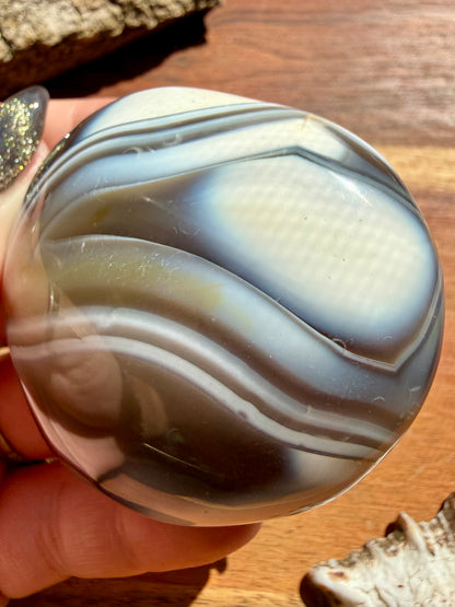 ORCA AGATE PALM STONE