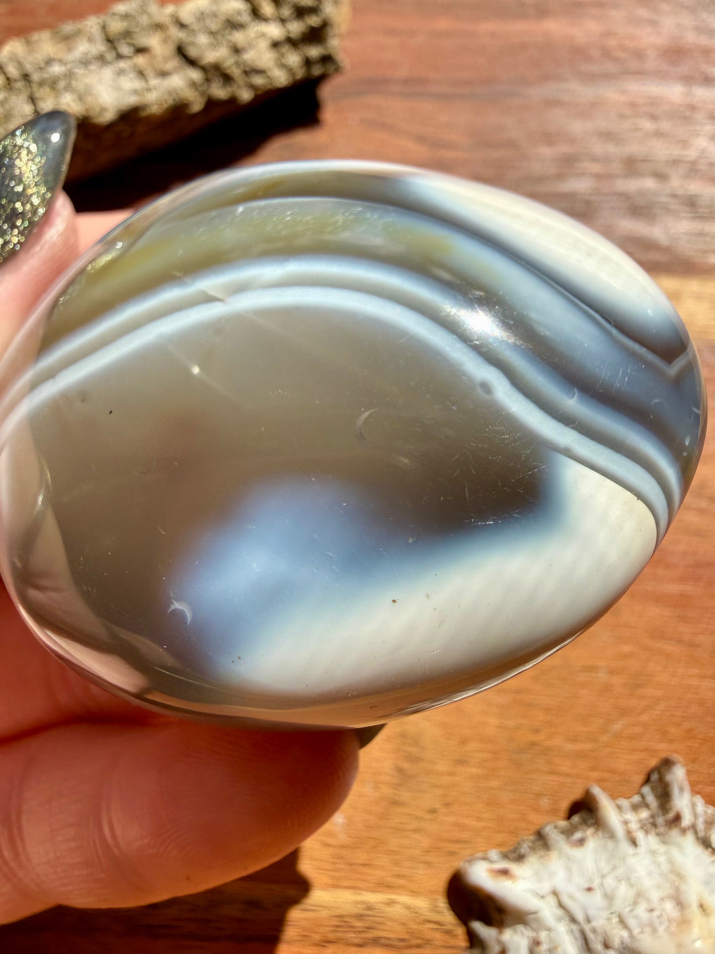 ORCA AGATE PALM STONE